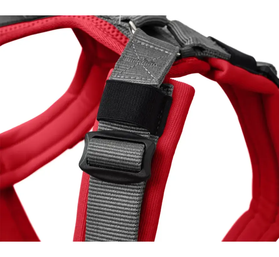 Dog Harness Maldon Up Red