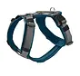 Dog Harness Maldon Up Teal