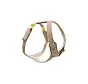 Dog Harness Ivory