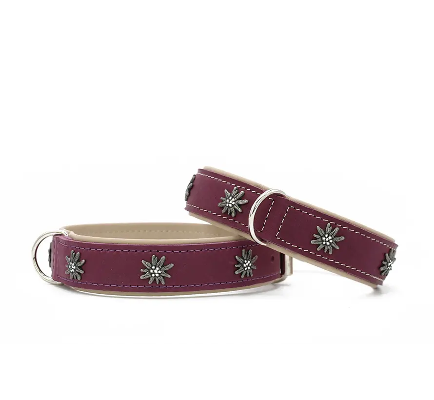 Dog Collar Alpenruf Aubergine
