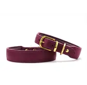 Maul Dog Collar Mono Pop Aubergine