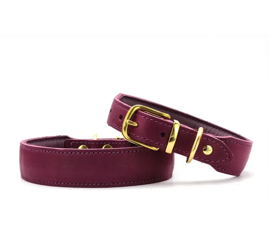 Hondenhalsband Mono Pop Aubergine