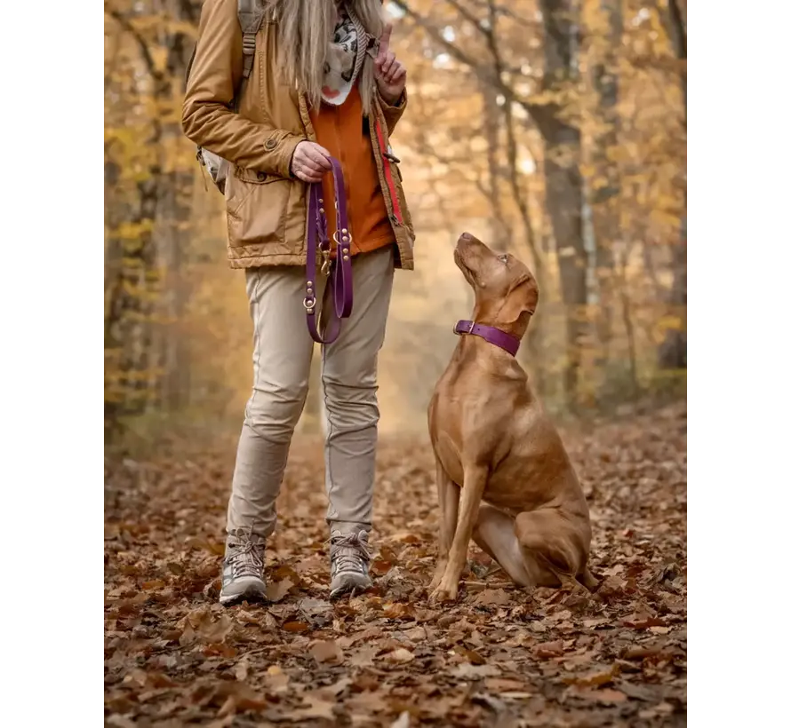 Dog Collar Mono Pop Aubergine
