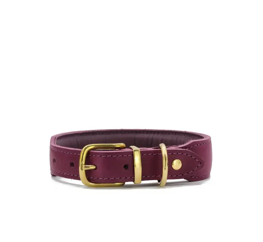 Hondenhalsband Mono Pop Aubergine