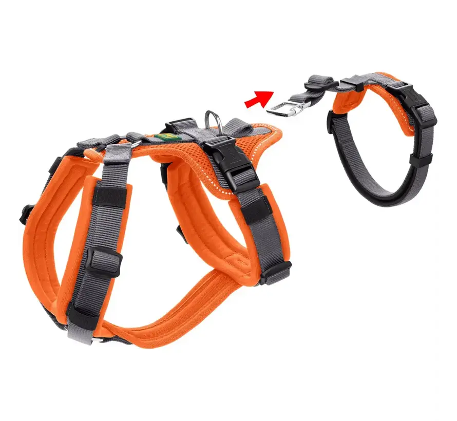 Veiligheidsharnas Maldon Oranje