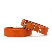 Maul Dog Collar Mono Pop Orange