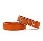 Hondenhalsband Mono Pop Oranje
