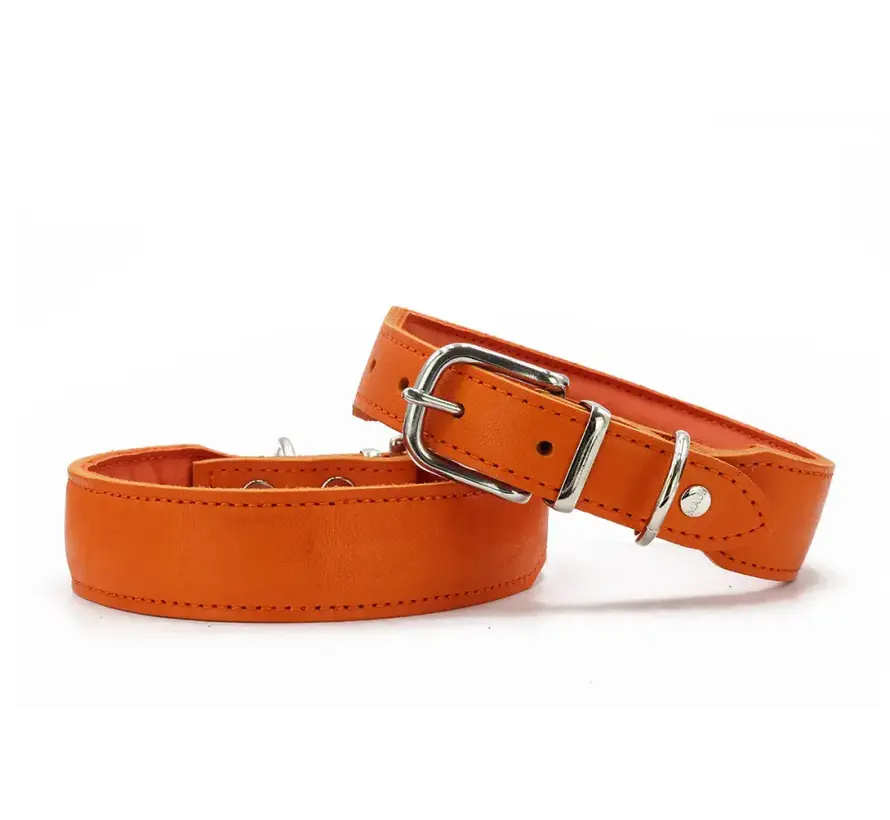 Dog Collar Mono Pop Orange