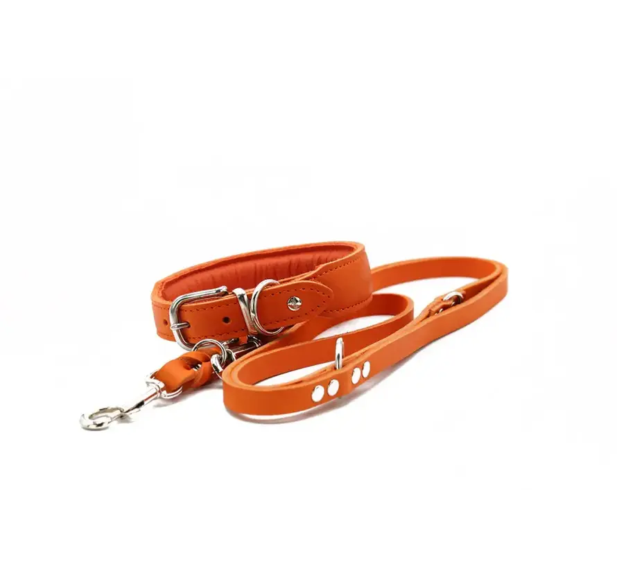 Hondenhalsband Mono Pop Oranje