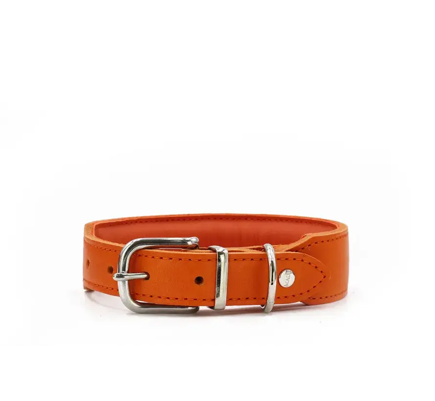 Hondenhalsband Mono Pop Oranje