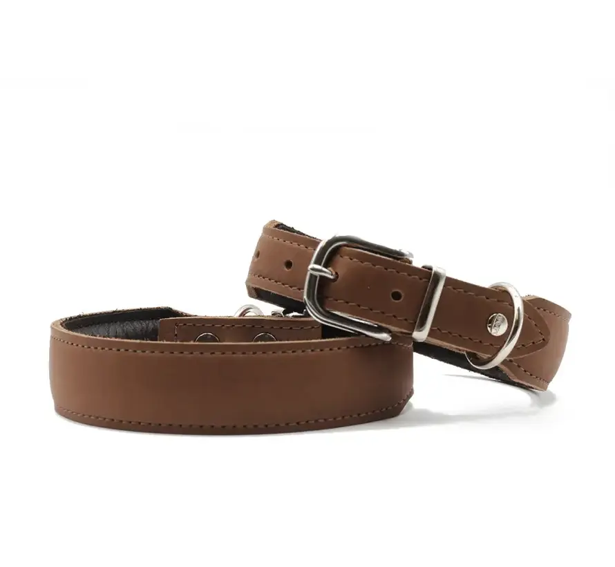 Dog Collar Mono Pop Mocha