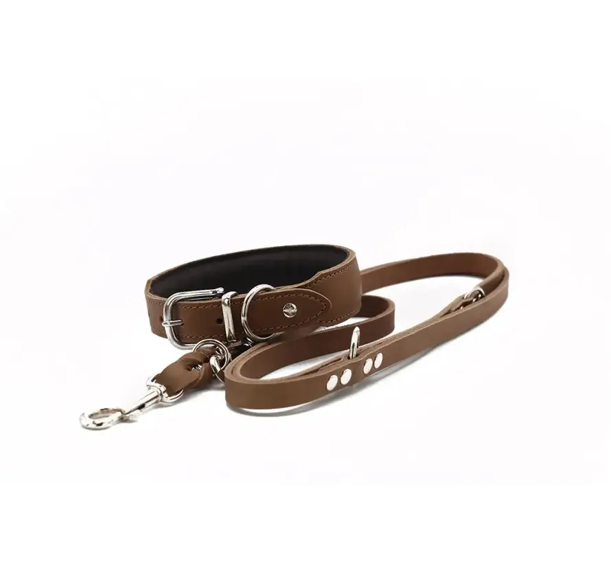 Dog Collar Mono Pop Mocha