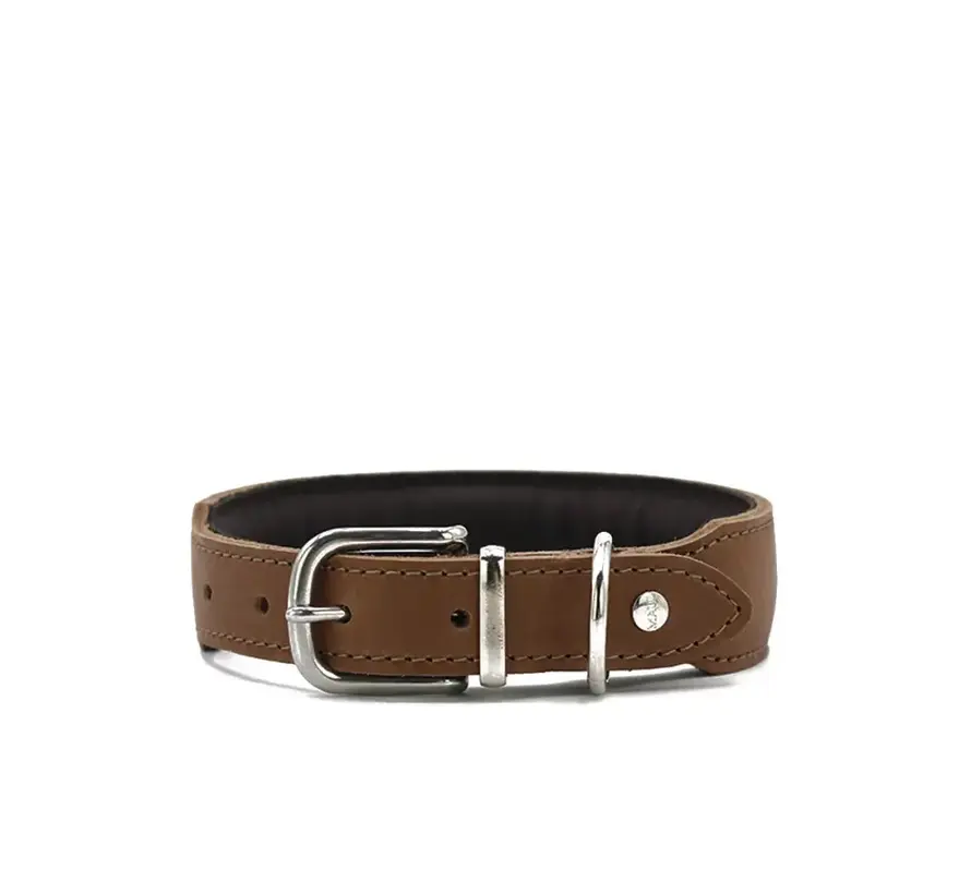 Dog Collar Mono Pop Mocha