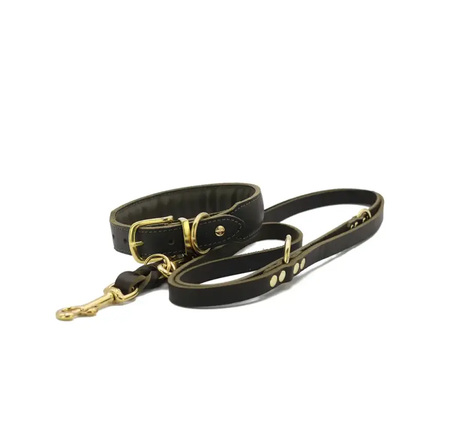 Hondenhalsband Mono Pop Khaki