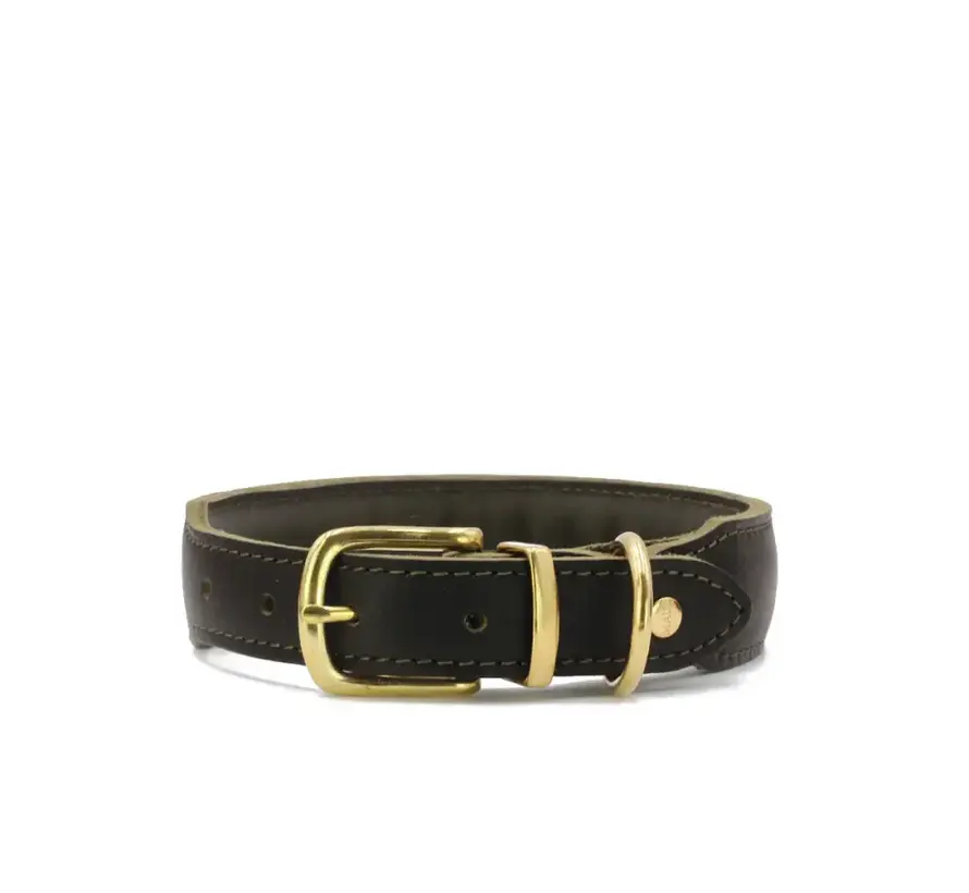 Dog Collar Mono Pop Khaki