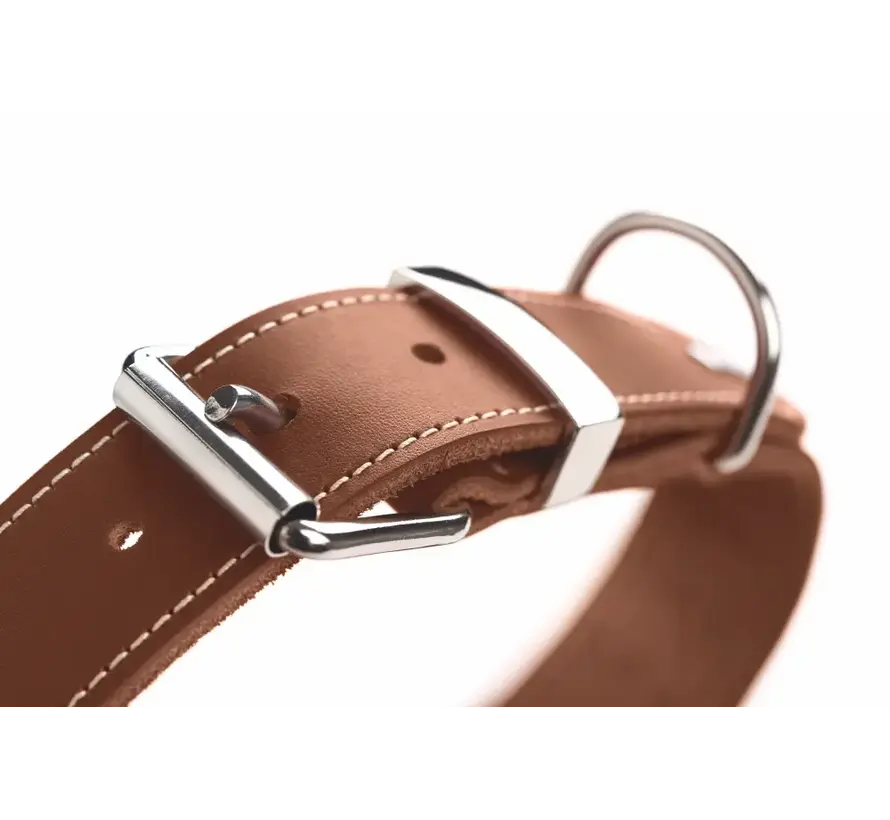 Hondenhalsband Aalborg Special Cognac