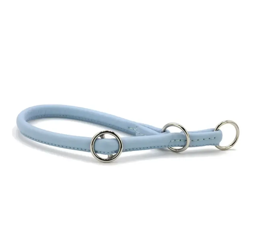 Retrieverhalsband voor de hond Ice Blue