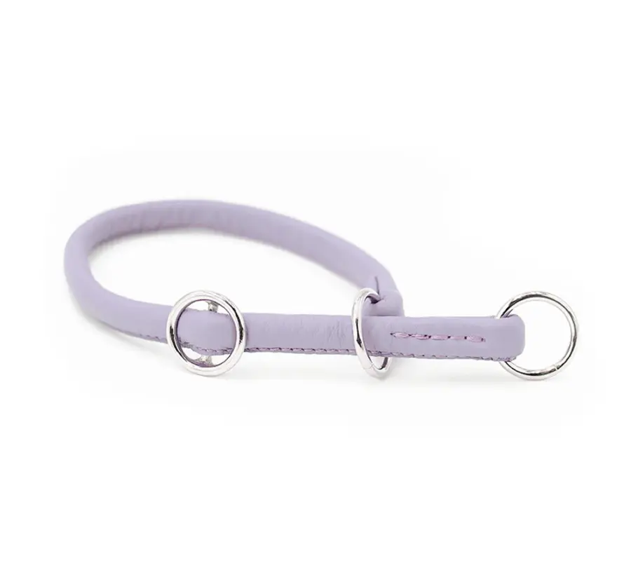 Retrieverhalsband voor de hond Lila