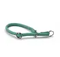 Dog Retriever Collar Mint