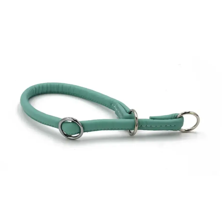Retrieverhalsband voor de hond Mint