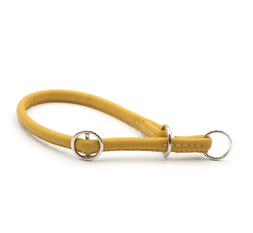 Retrieverhalsband voor de hond Geel