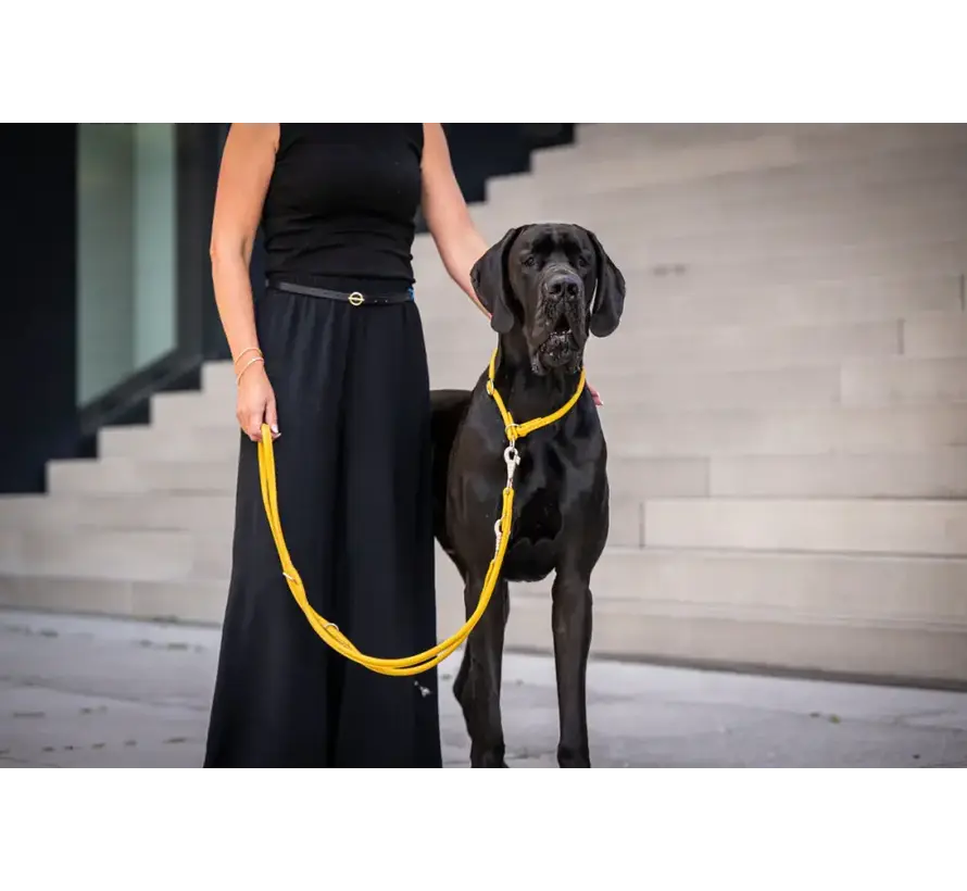 Retrieverhalsband voor de hond Geel