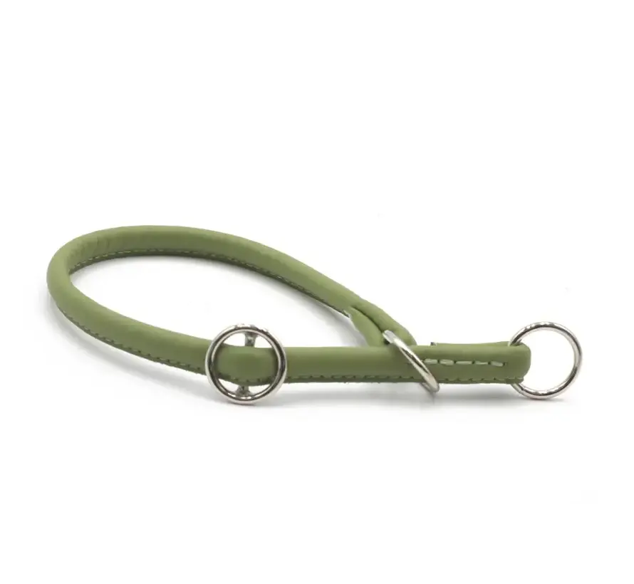 Retrieverhalsband voor de hond Lime