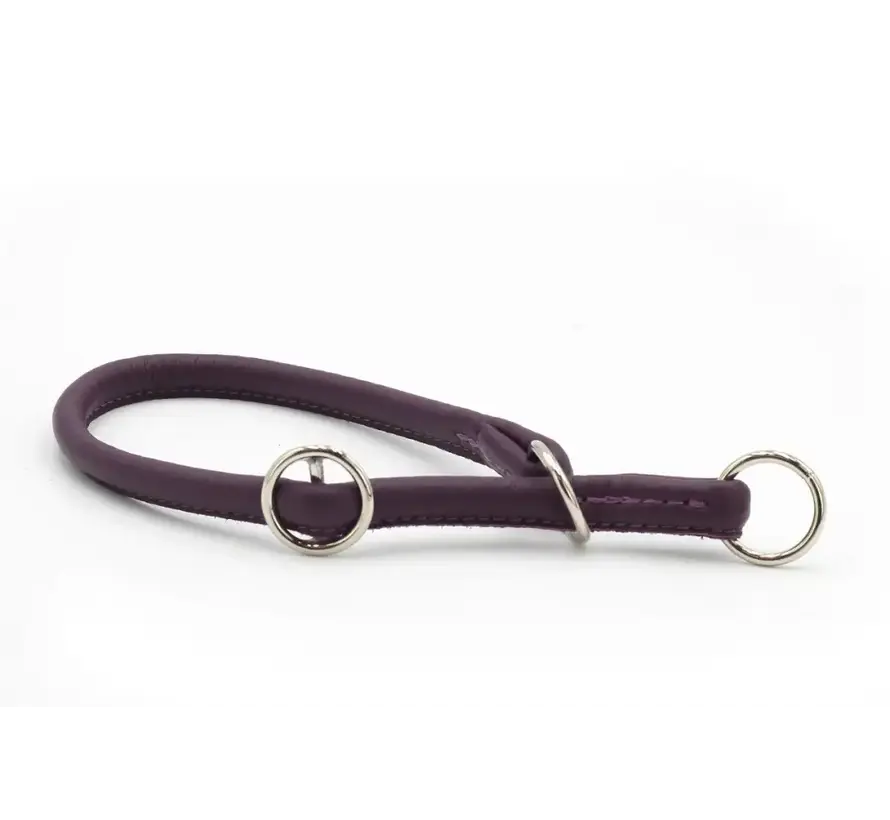 Dog Retriever Collar Aubergine