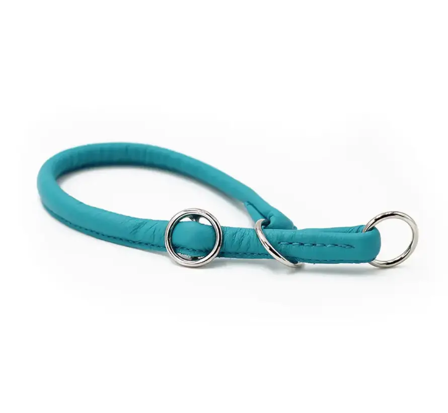 Dog Retriever Collar Petrol