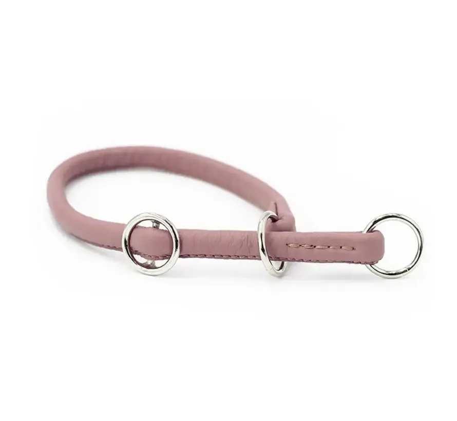 Retriever Dog Collar Holi Flamingo