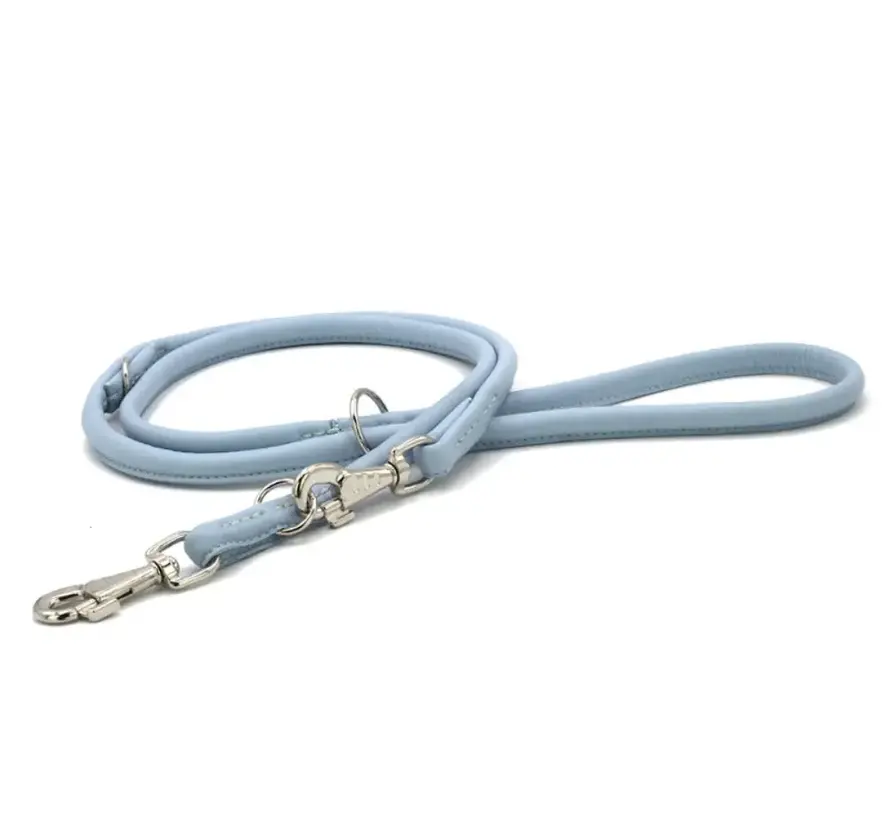 Dog Leash Ice Blue