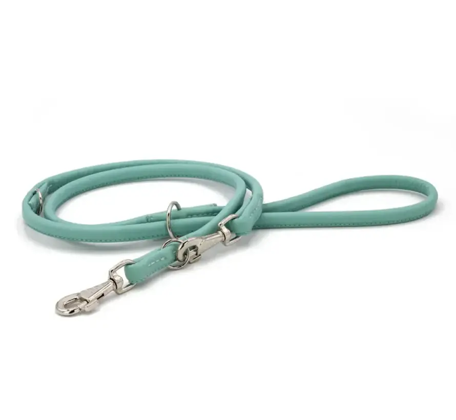 Dog Leash Mint