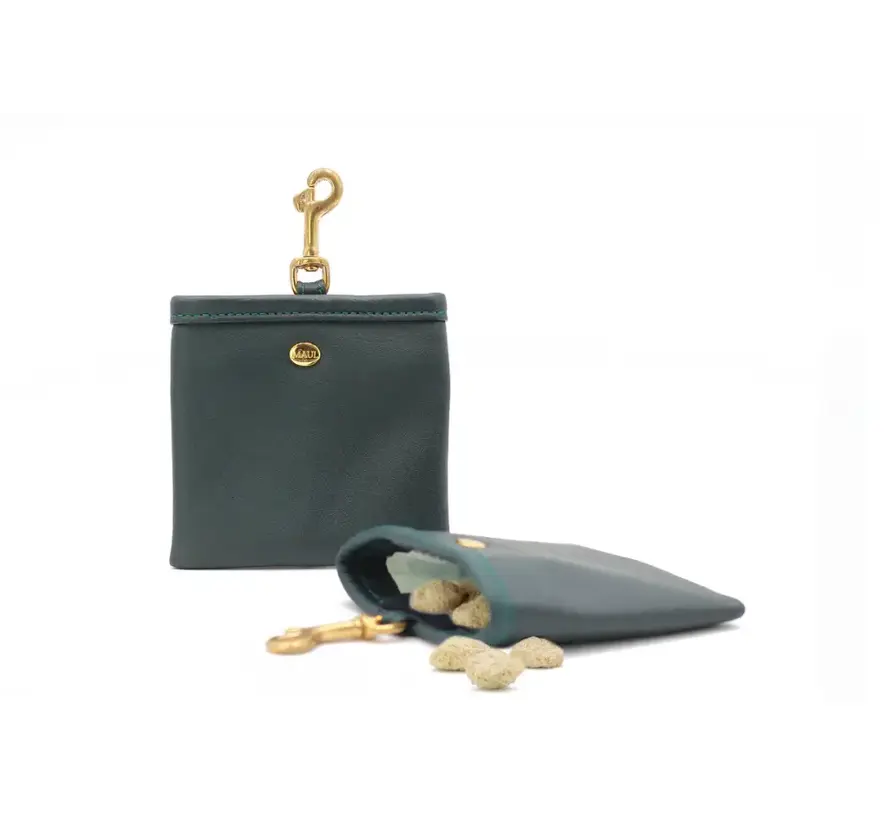Dog Treat Bag Green