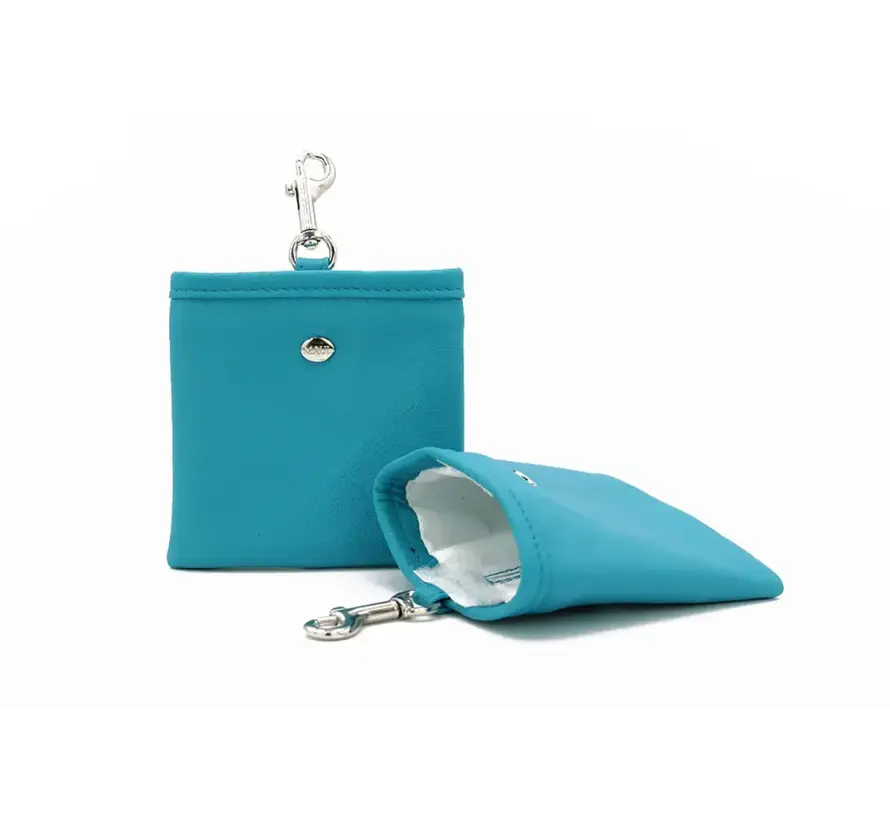 Dog Treat Bag Petrol
