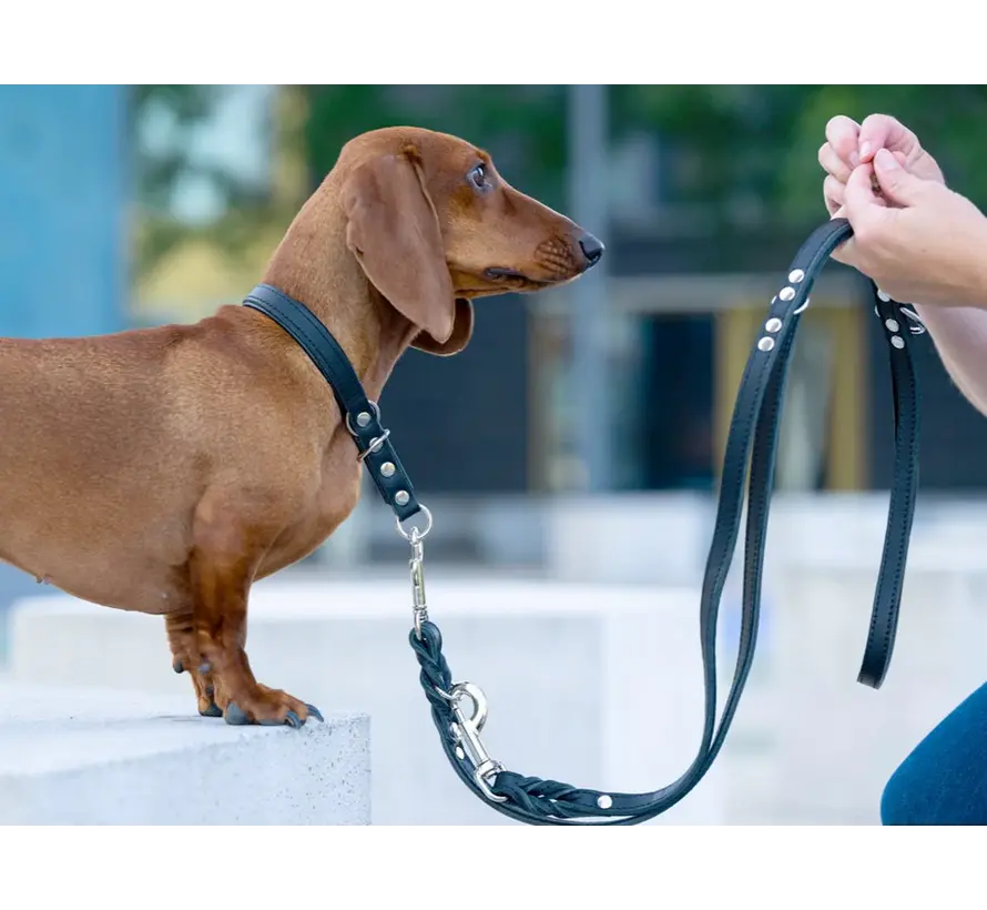 Dog Retriever Collar Black