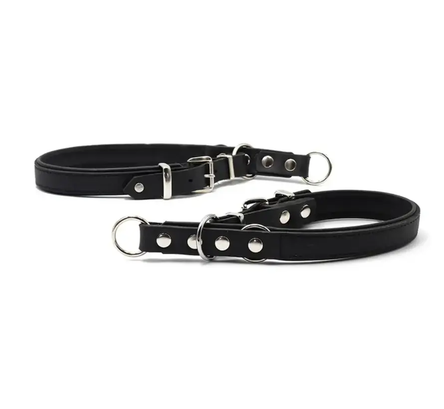 Retrieverhalsband voor de hond Zwart