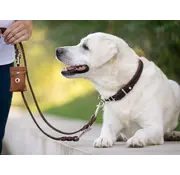 Maul Retrieverhalsband voor de hond Bruin