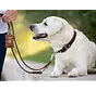 Retrieverhalsband voor de hond Bruin