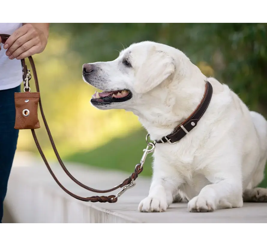 Retrieverhalsband voor de hond Bruin