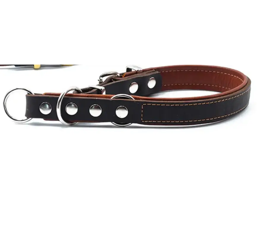 Retrieverhalsband voor de hond Bruin