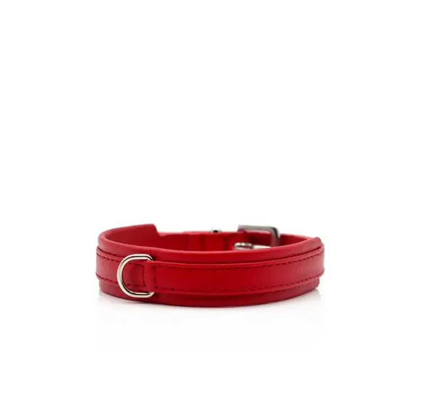 Hondenhalsband Mini Klassiek Rood