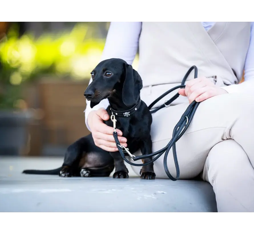 Dog Collar Mini Skull and Bones