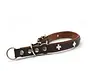 Retriever Collar Swiss Brown