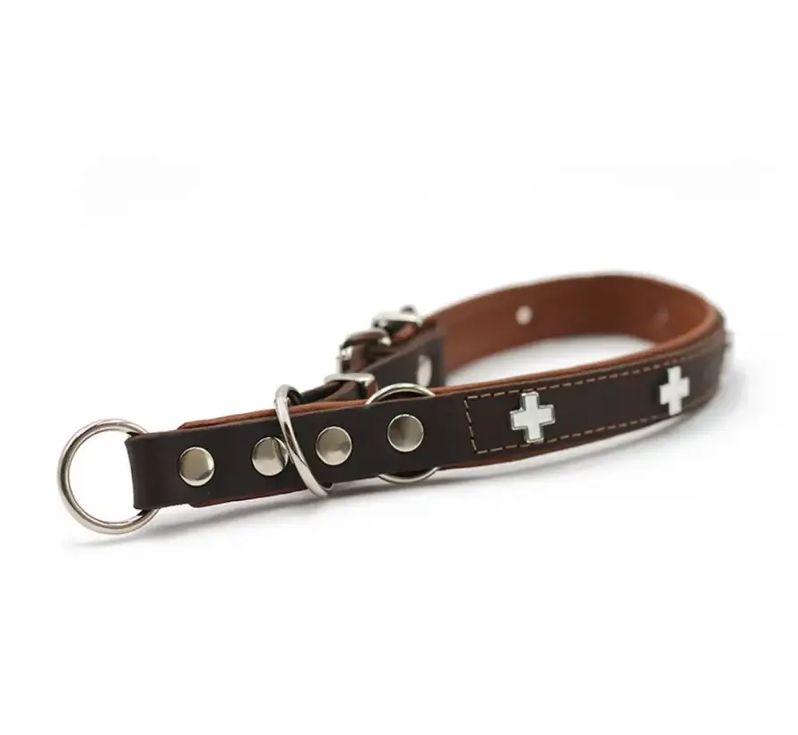 Retrieverhalsband Swiss Bruin