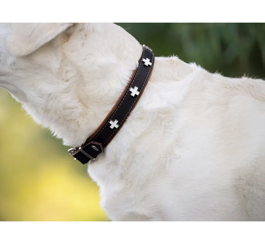 Retriever Collar Swiss Brown