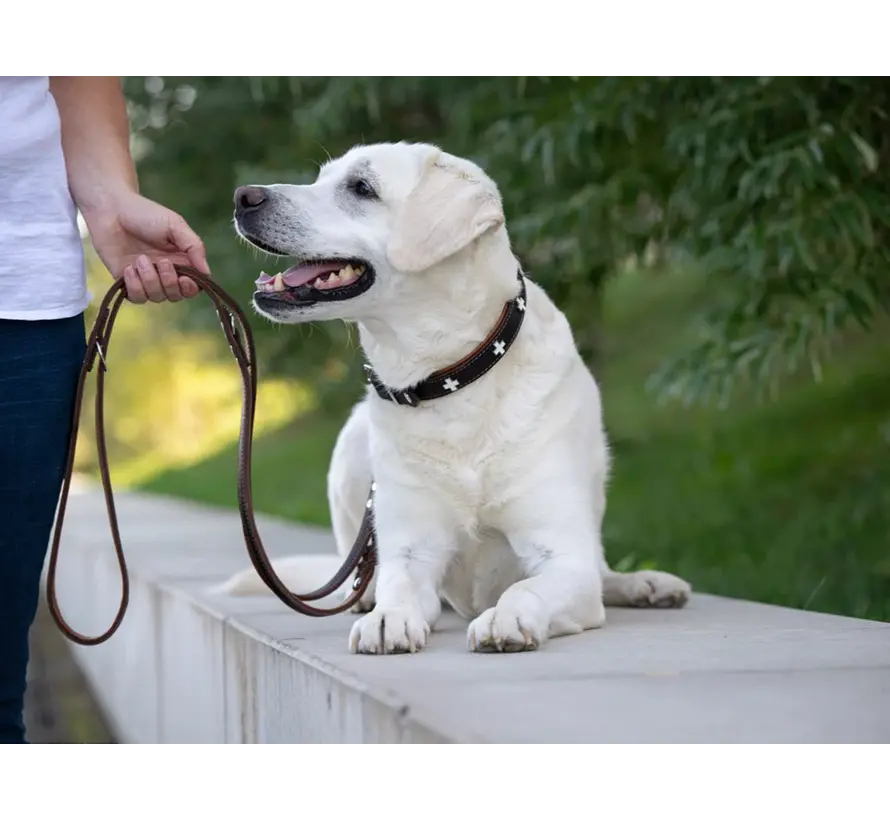 Retrieverhalsband Swiss Bruin