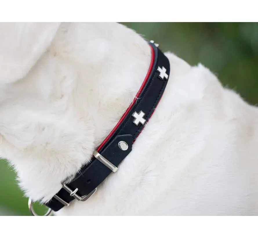 Retriever Collar Swiss Black