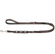 Hunter Dog Leash Swiss Brown