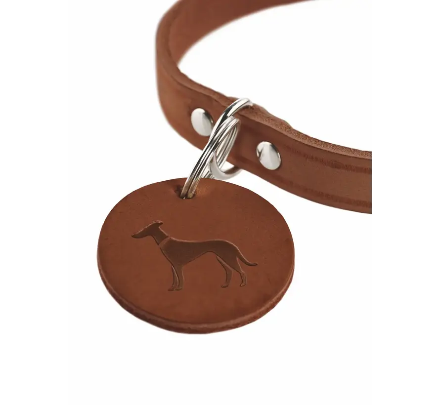 Hondenhalsband Aalborg Bruin