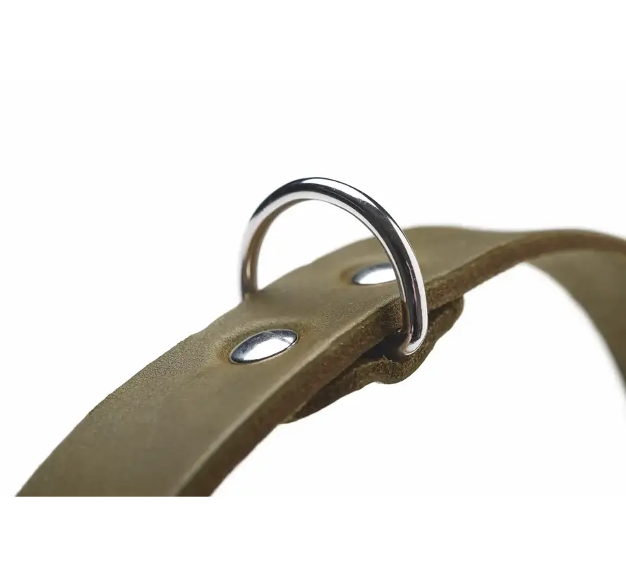 Dog Collar Aalborg Olive